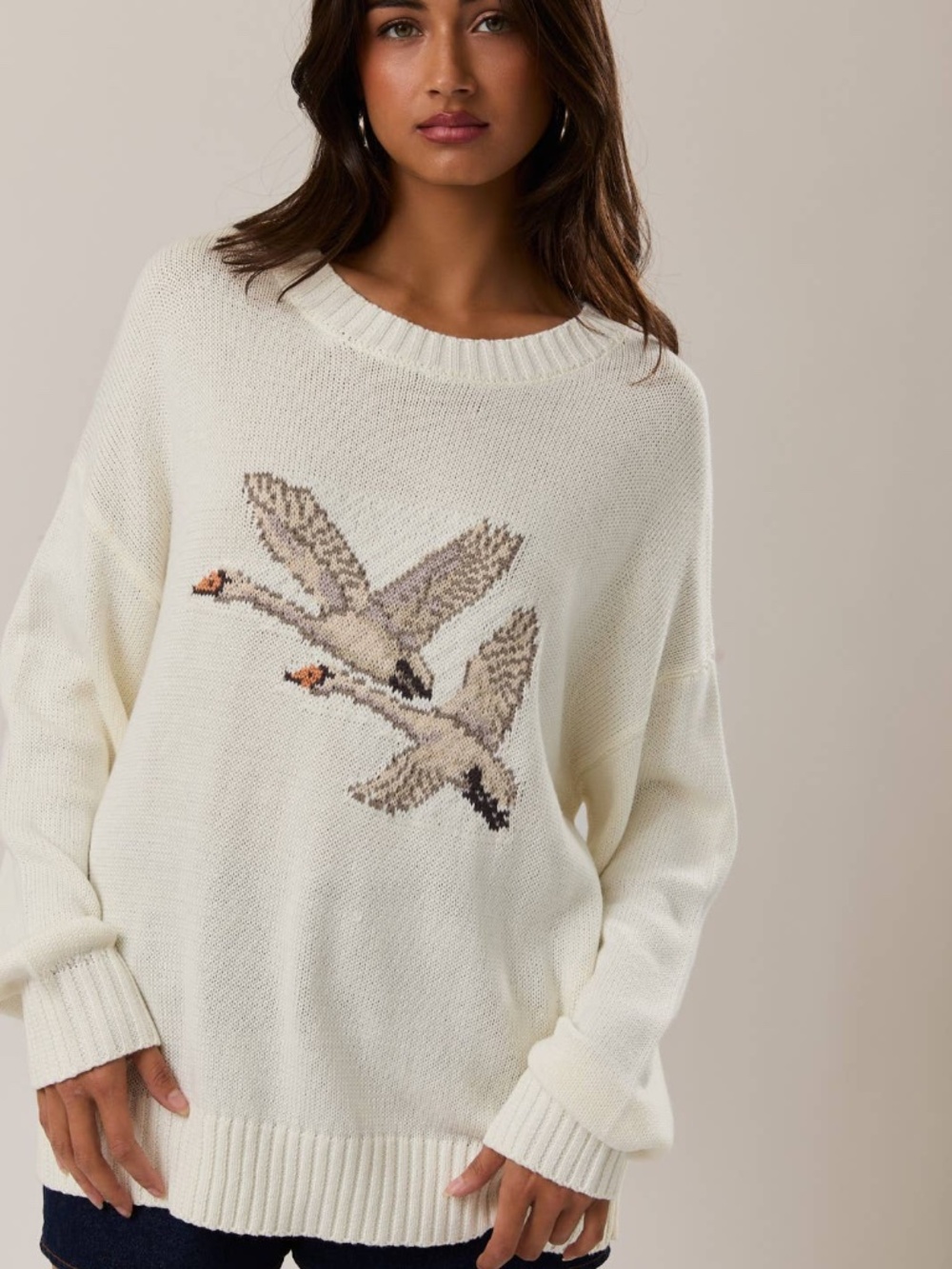 NWT Soaring High Duck Graphic Sweater